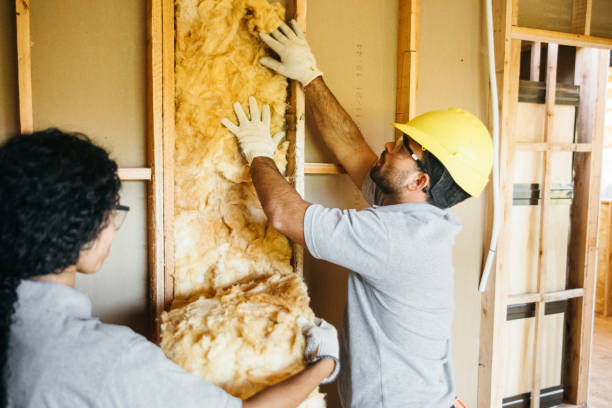 Best Attic Insulation Near Me  in St Paul, TX