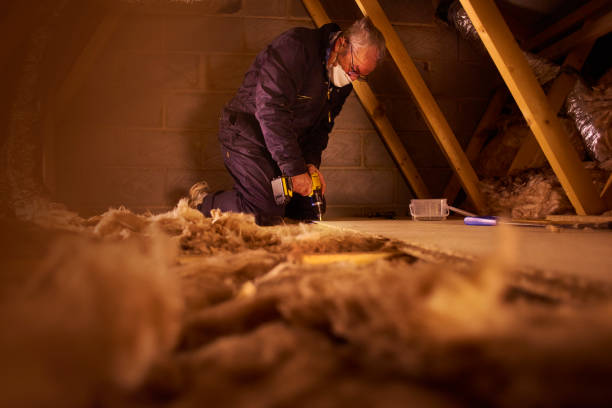 Best Insulation Inspection Services  in St Paul, TX