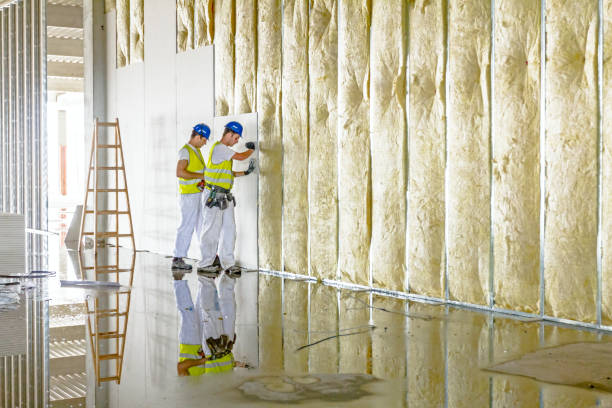 Best Residential Insulation Services  in St Paul, TX